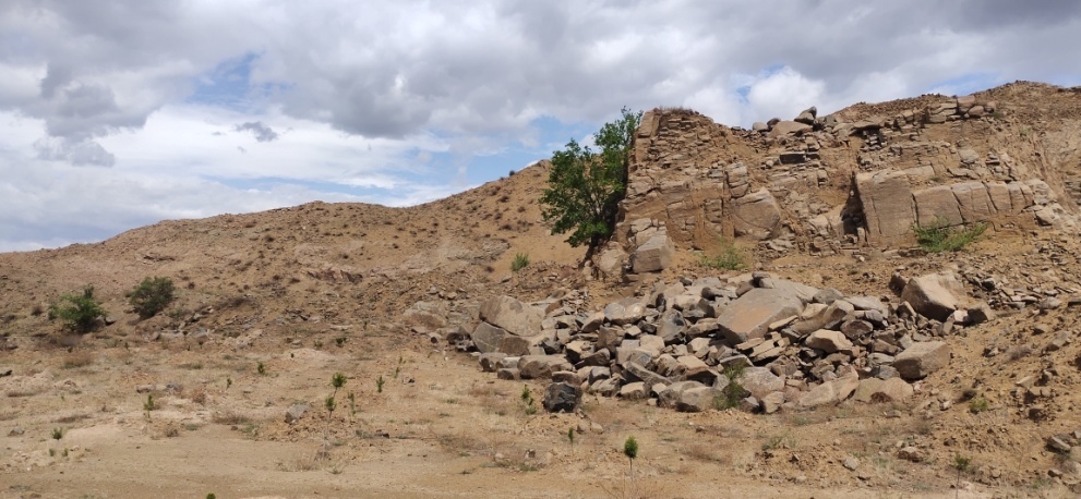 42923金牛版·(中国)官方网站