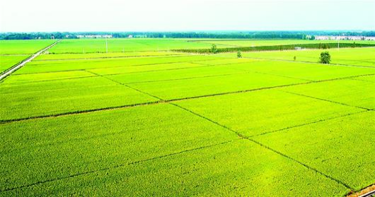 42923金牛版·(中国)官方网站