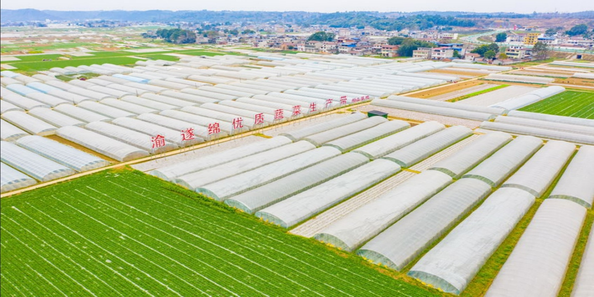 42923金牛版·(中国)官方网站