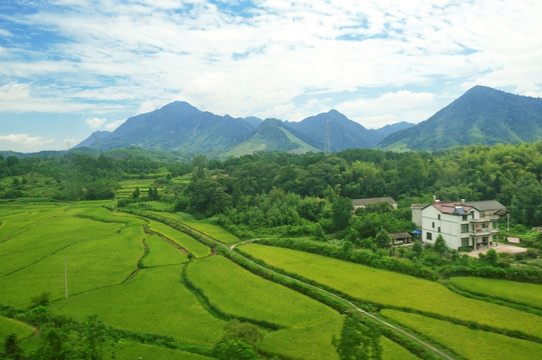 42923金牛版·(中国)官方网站