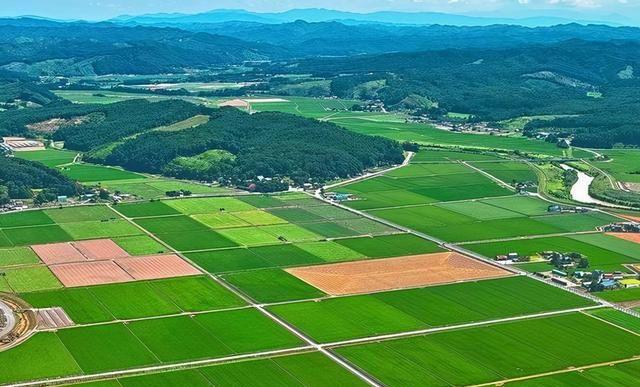 42923金牛版·(中国)官方网站