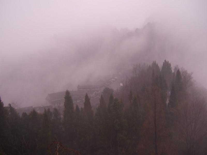 42923金牛版·(中国)官方网站