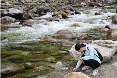 42923金牛版·(中国)官方网站