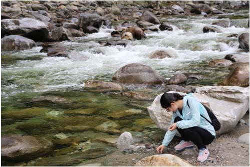 42923金牛版·(中国)官方网站