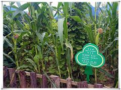 42923金牛版·(中国)官方网站