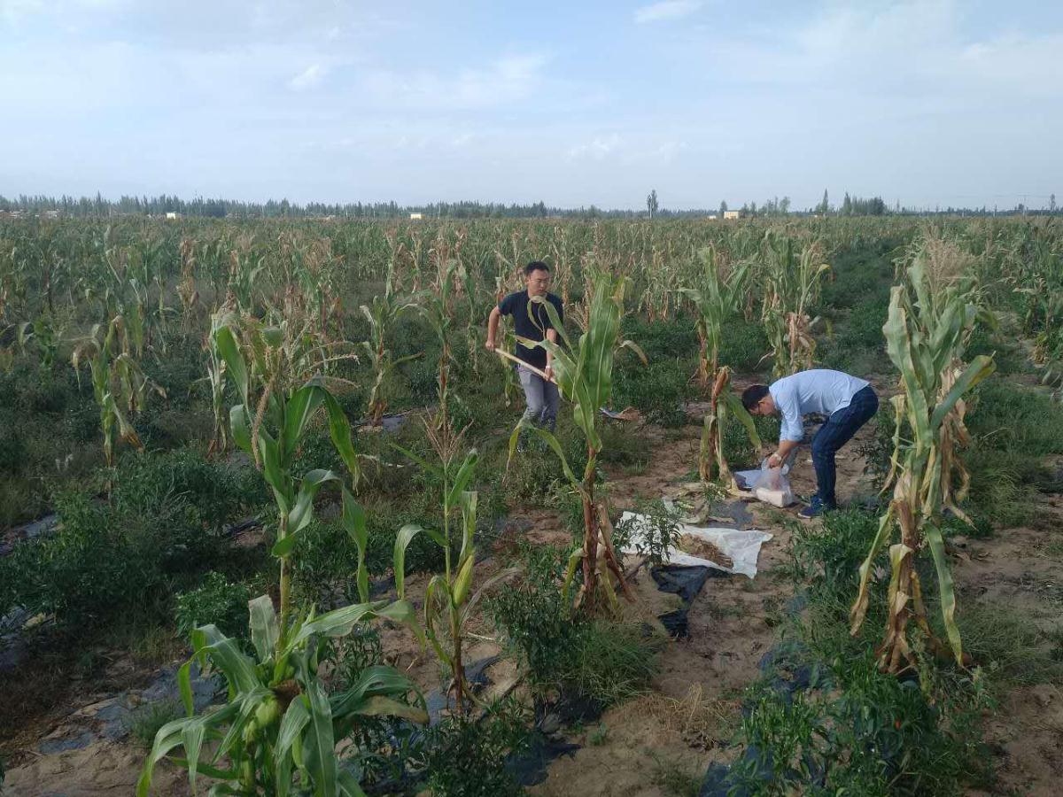 42923金牛版·(中国)官方网站