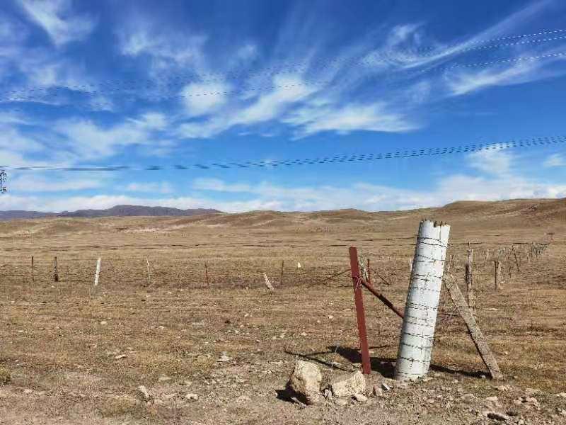 42923金牛版·(中国)官方网站