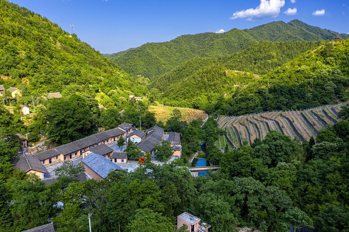 42923金牛版·(中国)官方网站