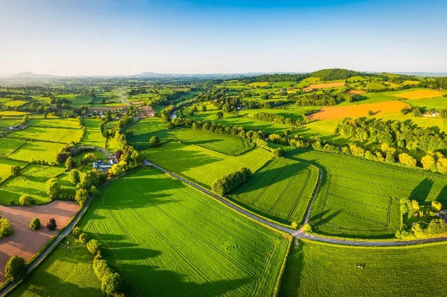 42923金牛版·(中国)官方网站