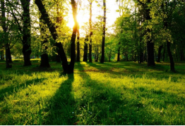 42923金牛版·(中国)官方网站