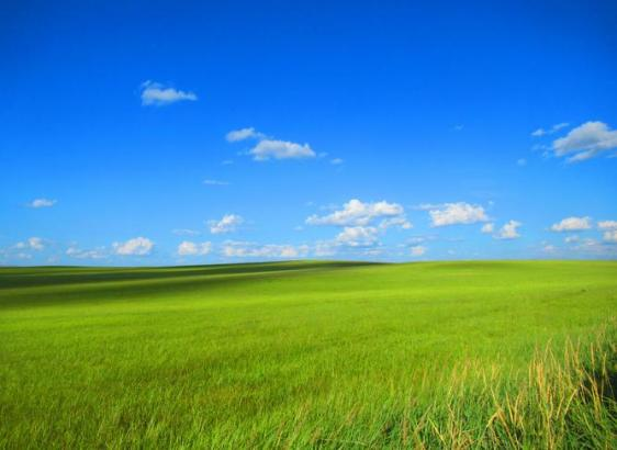 42923金牛版·(中国)官方网站