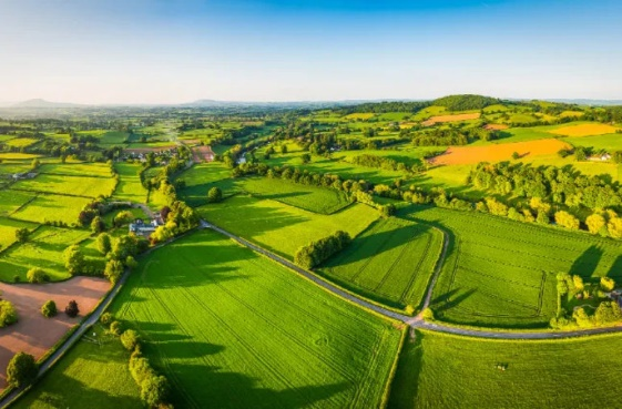 42923金牛版·(中国)官方网站