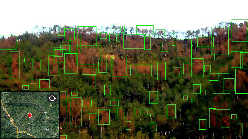 42923金牛版·(中国)官方网站