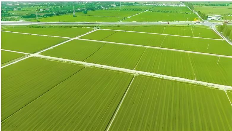 42923金牛版·(中国)官方网站