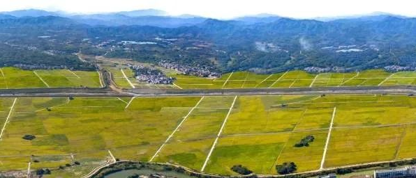 42923金牛版·(中国)官方网站