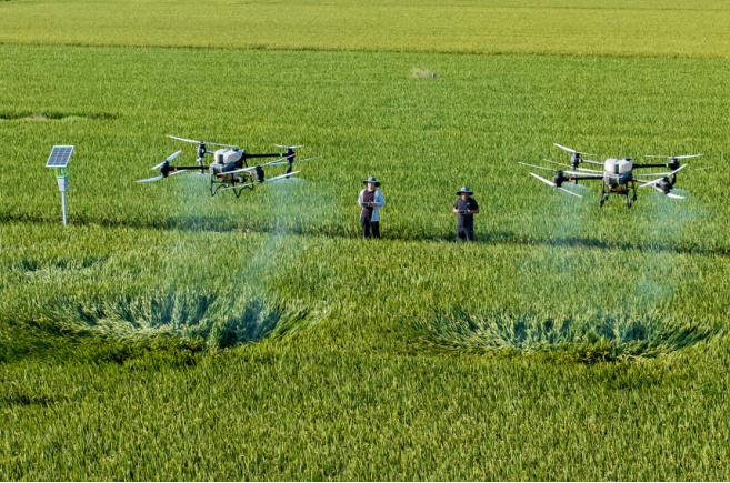 42923金牛版·(中国)官方网站