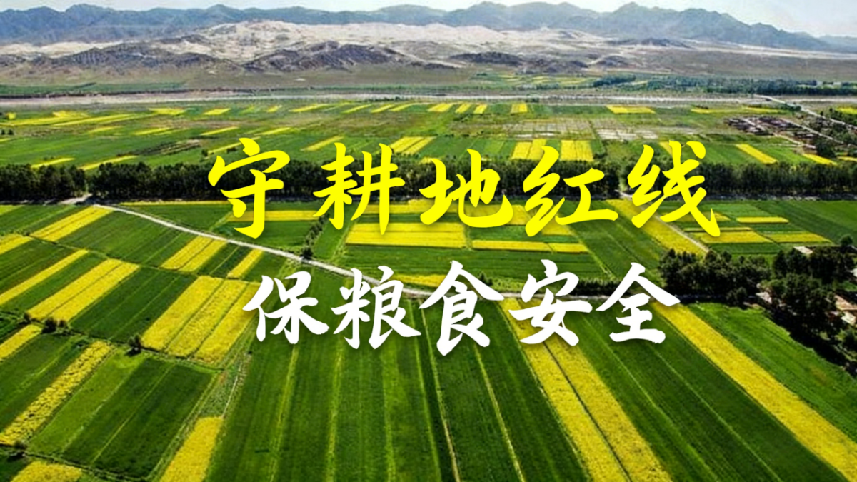 42923金牛版·(中国)官方网站